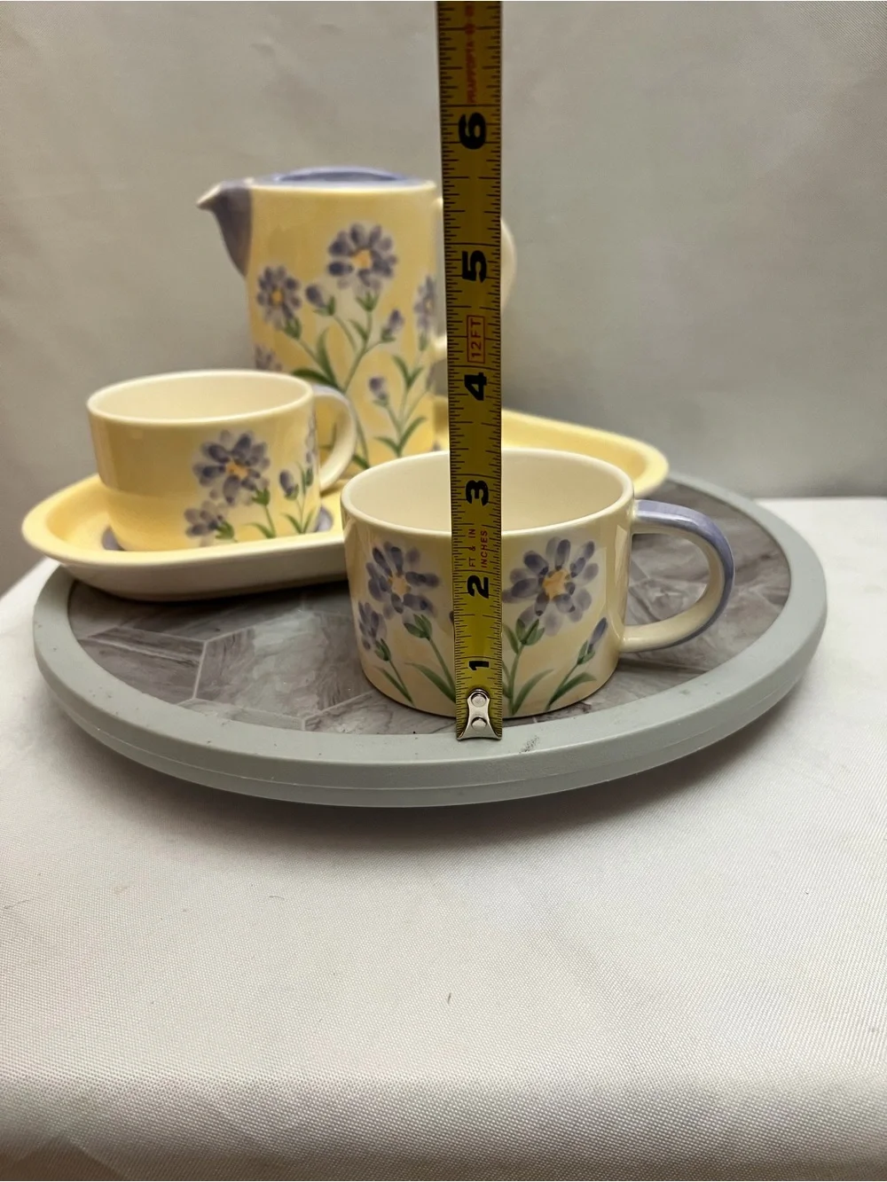 Herman Dodge & Son Hand Painted Floral Tea Set Pot 2 Cups Tray 4 Piece
